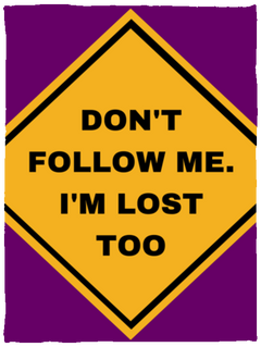 Don't Follow. I'm Lost Too